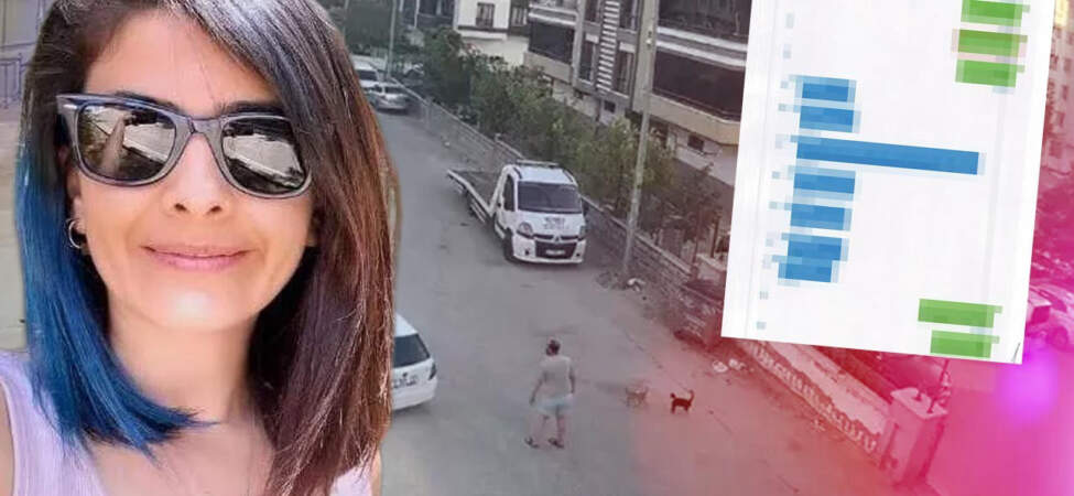 2 Aylık Hamile Kadının Sır Ölümü: Şok Mesajlar Ortaya Çıktı