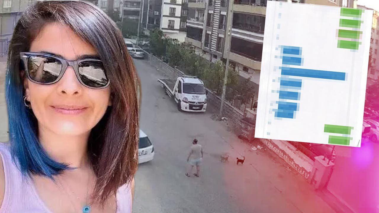 2 Aylık Hamile Kadının Sır Ölümü: Şok Mesajlar Ortaya Çıktı