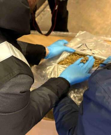 Uyuşturucu Operasyonları: 659 Kilogram Ele Geçirildi