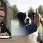 AK Partili Vekilden Hayvanseverlere Ağır Sözler: ‘Köpekçi Terörü, Köpeksever, İt…’