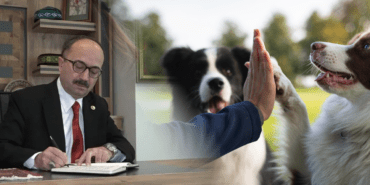 AK Partili Vekilden Hayvanseverlere Ağır Sözler: ‘Köpekçi Terörü, Köpeksever, İt…’