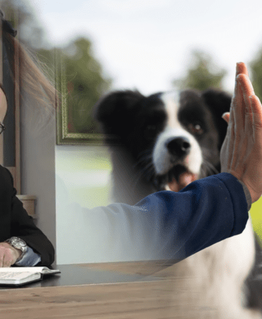 AK Partili Vekilden Hayvanseverlere Ağır Sözler: ‘Köpekçi Terörü, Köpeksever, İt…’