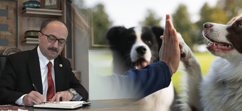 AK Partili Vekilden Hayvanseverlere Ağır Sözler: ‘Köpekçi Terörü, Köpeksever, İt…’