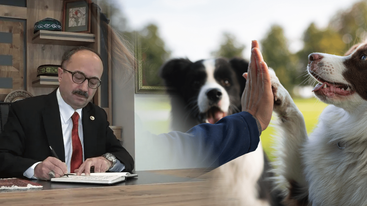 AK Partili Vekilden Hayvanseverlere Ağır Sözler: ‘Köpekçi Terörü, Köpeksever, İt…’