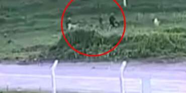 Baba ve oğlunun köpeklerine öfkelenip komşularını darbettiği anlar kamerada