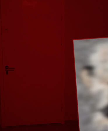 Mescitte Kedi Katliamı! Yavru Kedileri Parçalayıp Kuyruklarını Kopardılar
