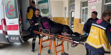 Bostana Giren İnek Kavgasında 1 Ölü 3 Yaralı