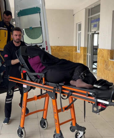 Bostana Giren İnek Kavgasında 1 Ölü 3 Yaralı