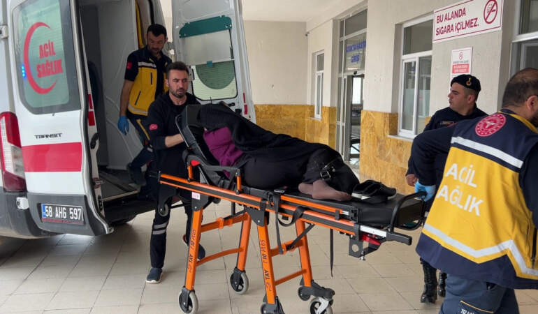 Bostana Giren İnek Kavgasında 1 Ölü 3 Yaralı