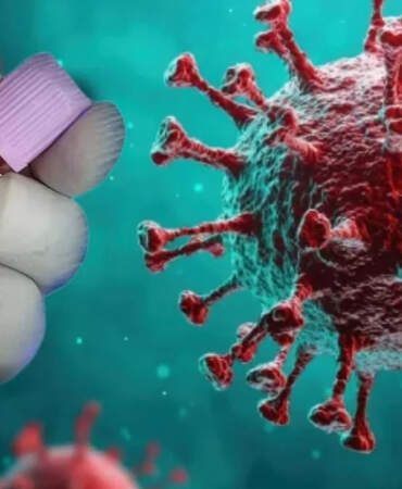 Hantavirüs Korkusu Büyüyor: Bir Ülkeye Daha Sıçradı! Dünya Alarm Durumuna Geçti