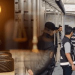 İBB Ağaç-Peyzaj Soruşturmasında 20 Kişiye Tutuklama Talebi