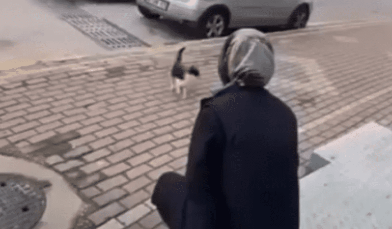 Kediye Vahşet Kamerada! ‘Gel Annem Gel’ Diye Çağırdı, Yüzüne Kimyasal Sıktı