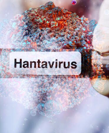 Sağlık Bakanlığı’ndan Hantavirüs Açıklaması: ‘Türkiye’de Pozitif Vaka Yok’