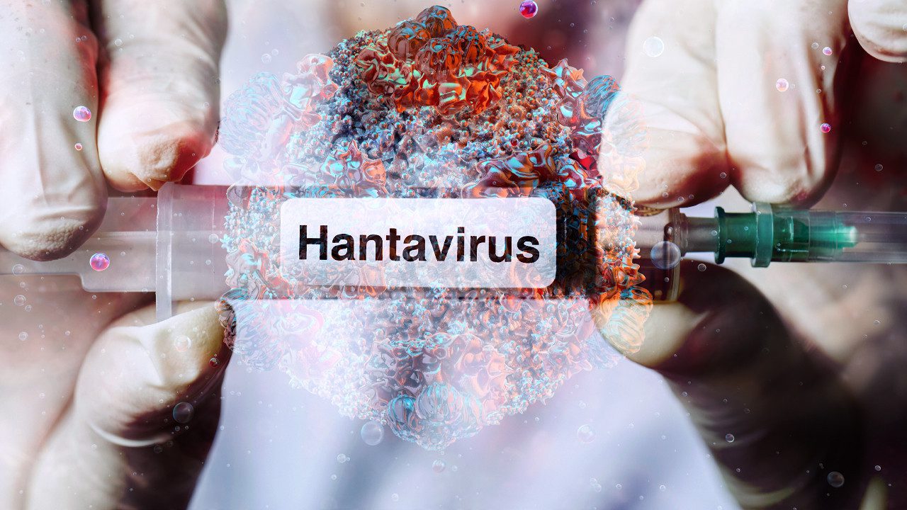 Sağlık Bakanlığı’ndan Hantavirüs Açıklaması: ‘Türkiye’de Pozitif Vaka Yok’