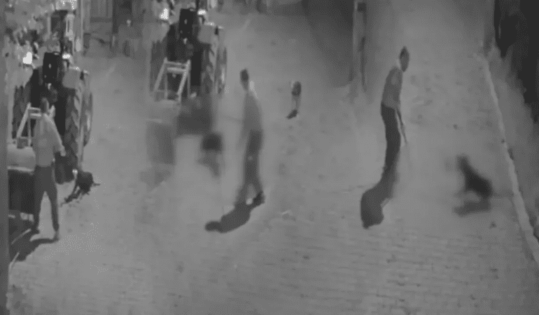 Tasmalı Köpeği Demir Çubukla Öldüren Zanlı Tutuklandı