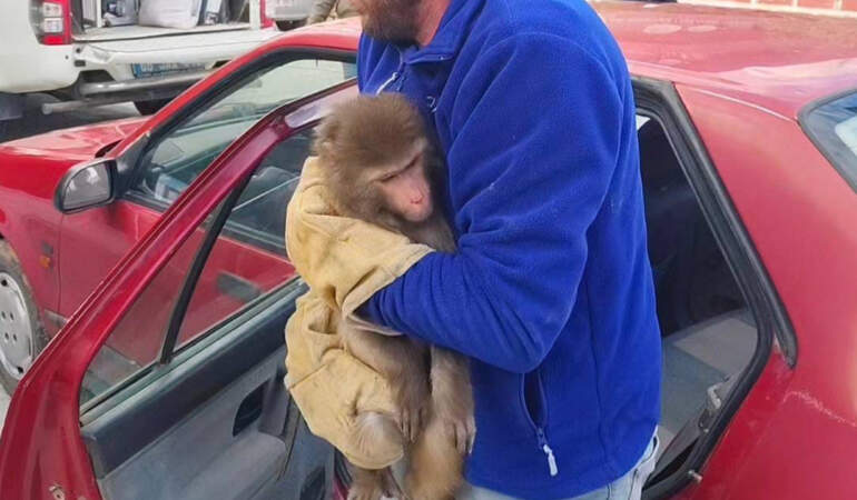 Yozgat Bozkırında Şaşırtan Misafir: Nereden Geldiği Bilinmiyor