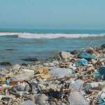 60 yıllık plastik kronolojisi: Marmara’da 2000’den sonra kirlilik 3 katına çıktı