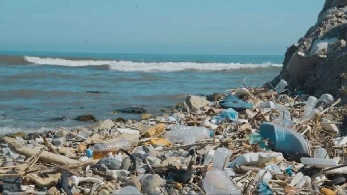60 yıllık plastik kronolojisi: Marmara’da 2000’den sonra kirlilik 3 katına çıktı