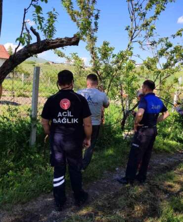Akyurt’ta kaçan kurbanlık dana yakalandı