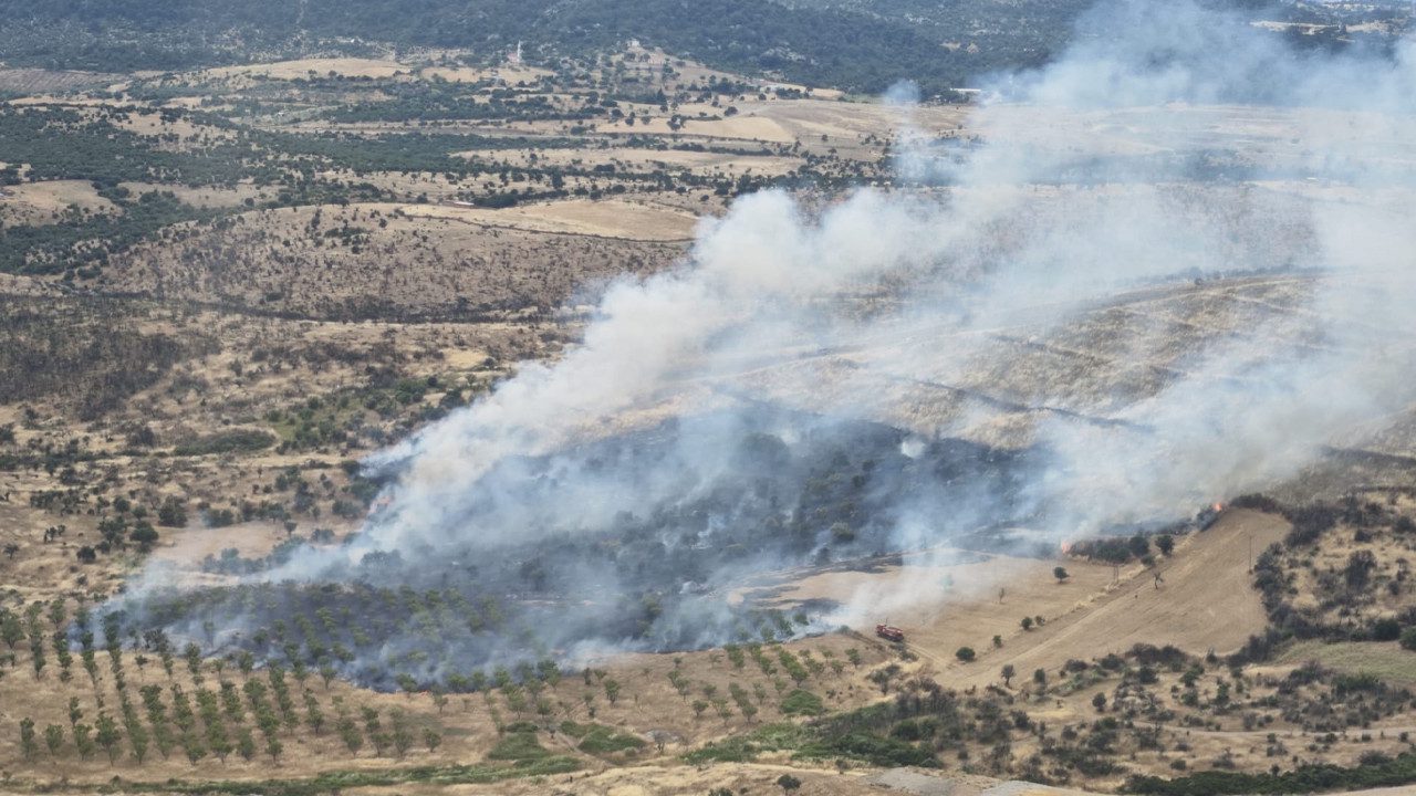Çanakkale’de Korkutan Orman Yangını