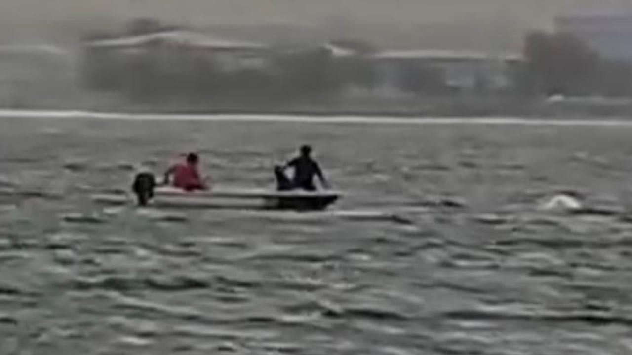 Küçükçekmece’de Alabora Olan Teke Battı! Gölde Korku Dolu Anlar