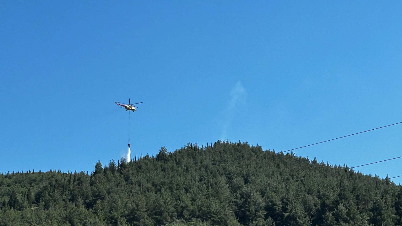 Manisa’da Orman Yangını