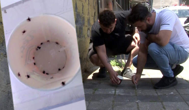 Sarıyer’de Kene İstilası: ‘Bir Haftada 500 Kene Öldürdük’ Diyen Mahalleli İsyanda