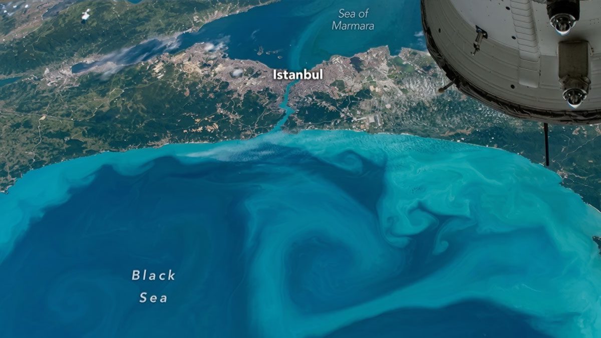 Bilim insanları bile büyülendi: Her yer turkuaza büründü