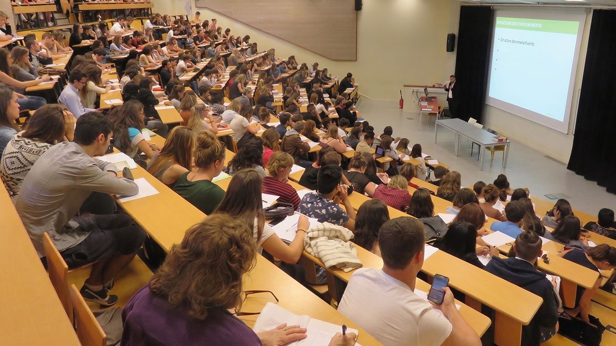 Üniversitelerde 16 yeni program tercih kılavuzunda