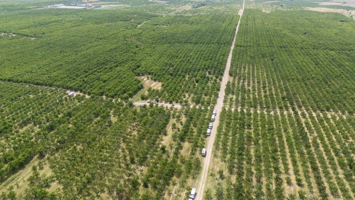 Kazancını katlamak isteyene tarımda yeni sistem! Tüm köyde verim 30 katına çıktı