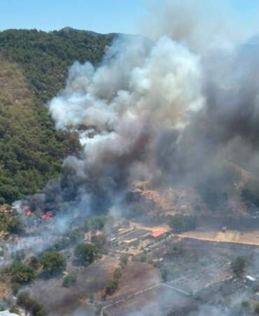 Fethiye’de orman yangını: 10 ev tahliye edildi, 4 bungalov hasar gördü