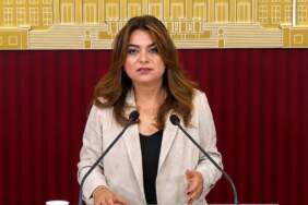 DEM Partili Koçyiğit: Çerçeve yasa Meclis kapanmadan çıkacak