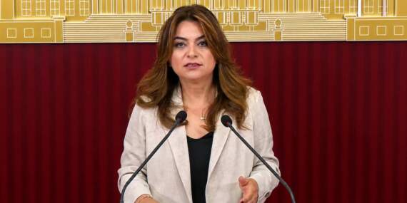 DEM Partili Koçyiğit: Çerçeve yasa Meclis kapanmadan çıkacak