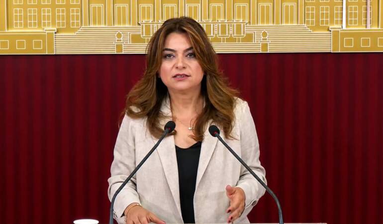 DEM Partili Koçyiğit: Çerçeve yasa Meclis kapanmadan çıkacak