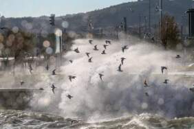 Meteoroloji’den İzmir dahil dört il için kuvvetli rüzgâr uyarısı: Hızı 70 kilometreye ulaşacak