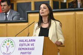 Hatimoğulları’ndan ‘çerçeve yasa’ için ‘son düzlük’ açıklaması: ‘İmralı ziyaretinde oluşan mutabakat yasaya yansımalı’