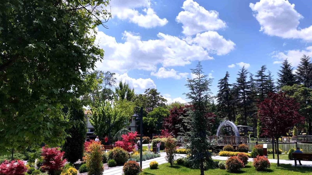 Saraçoğlu Mahallesi yeniden hayat buldu