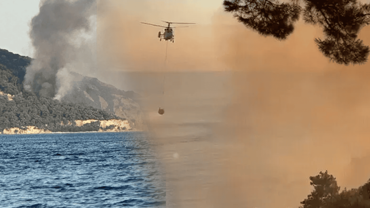 Büyükada’da Plajdan Ormana Sıçrayan Yangın Söndürüldü