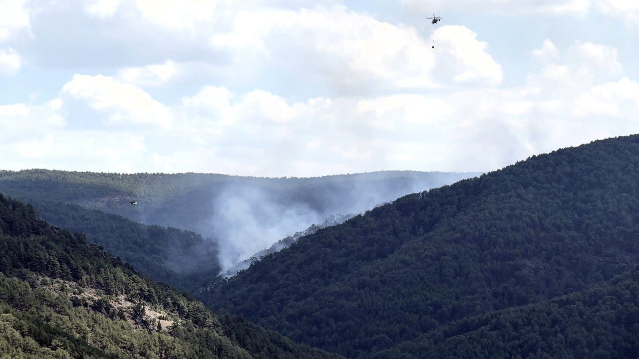 Kütahya’da Korkutan Orman Yangını Kontrol Altında