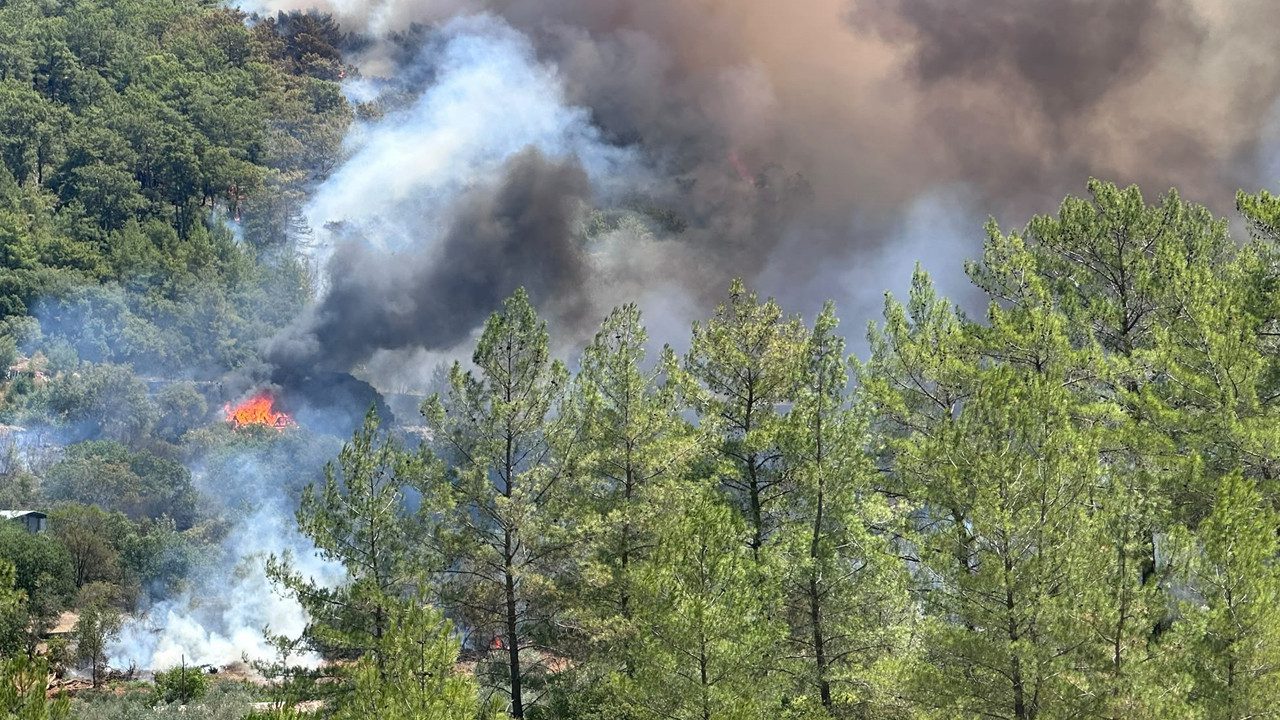 Muğla Fethiye’de Orman Yangını