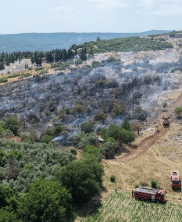 Muğla’da Sevindiren Haber: Yangın Kontrol Altına Alındı
