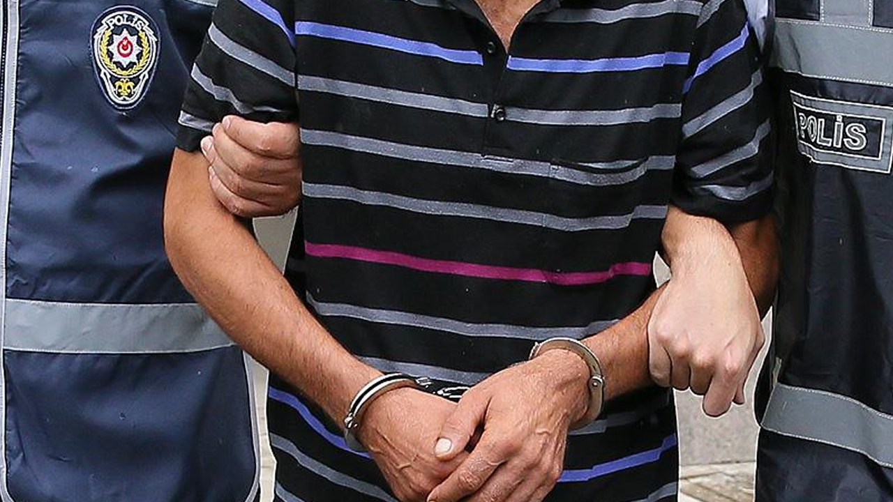 Silivri’de Köpeği Aracıyla Ezerek Öldüren Sürücü Tutuklandı