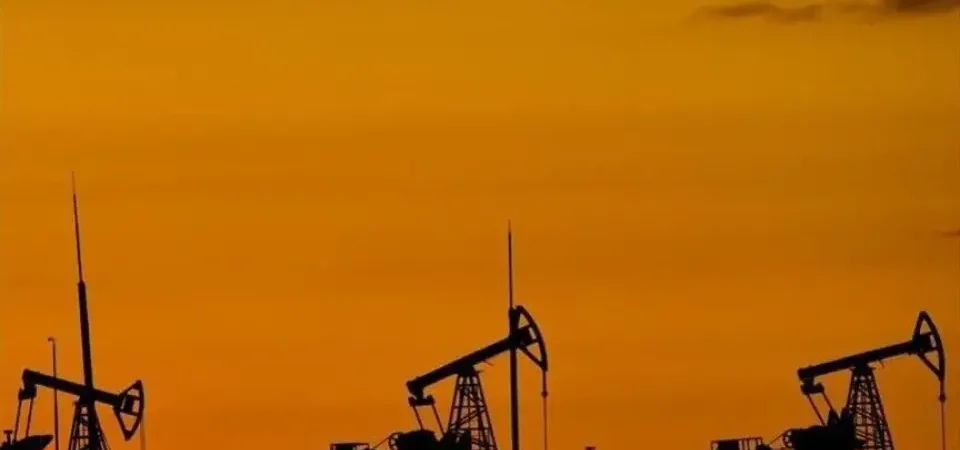 Yılın İlk Yarısında 23,1 Milyon Varil Petrol, 1,6 Milyar Metreküp Doğal Gaz Üretildi