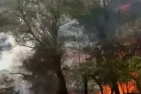 Ankara’da Elektrik Direğinden Çıkan Yangın Kontrol Altına Alındı