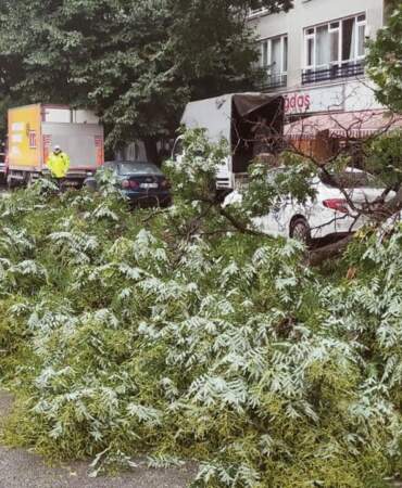 Ankara’da Sağanak Yağış Etkili Oluyor: Kurtuluş’ta Devrilen Ağaç Trafiği Kilitledi!