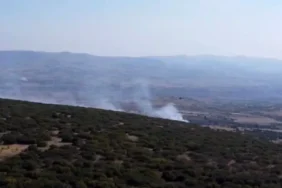 Ankara’da Ormanlık Alanda Çıkan Yangın Kontrol Altına Alındı