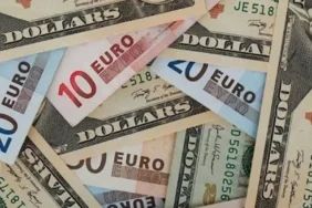 Döviz Piyasalarında Son Durum: Dolar Yükseliş Eğilimini Sürdürürken Euro Geriledi