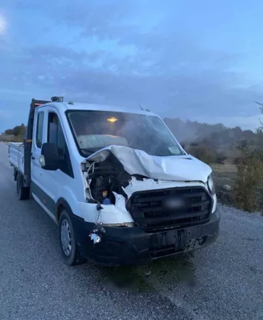 Ankara’da Trafik Kazası: Aracın Çarptığı Geyik Telef Oldu