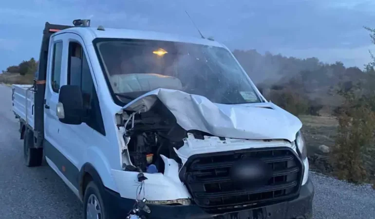 Ankara’da Trafik Kazası: Aracın Çarptığı Geyik Telef Oldu