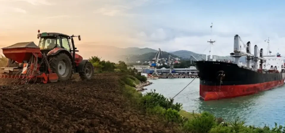 Tarım ve Denizcilik Devi Taban Gıda İçin İflas Kararı: Konkordato Talebi Reddedildi